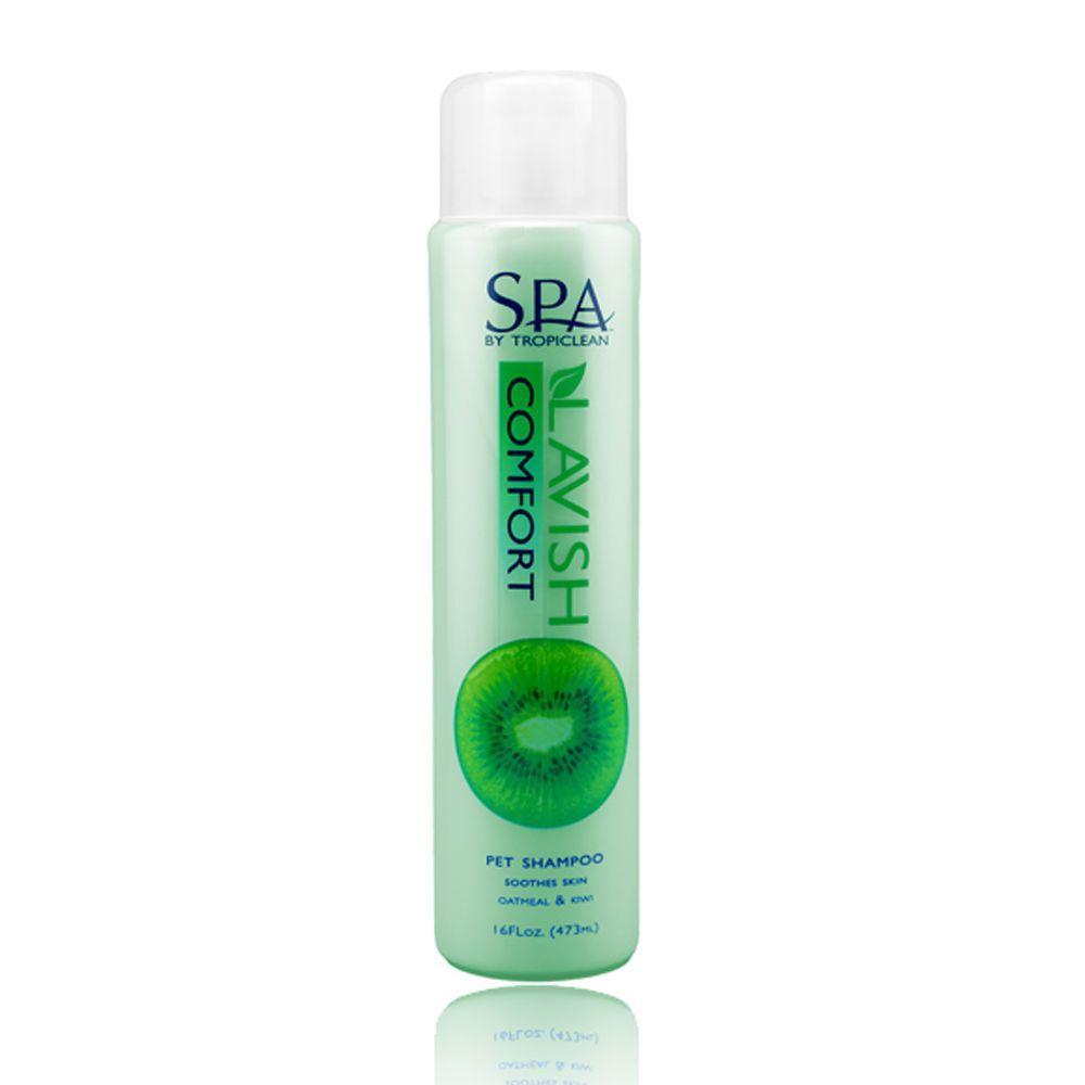 스파 컴포트샴푸 473ml 가려움증진정 16oz