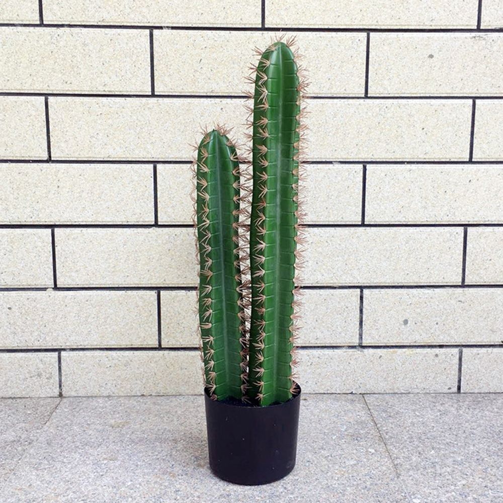 68cm B 조화 선인장