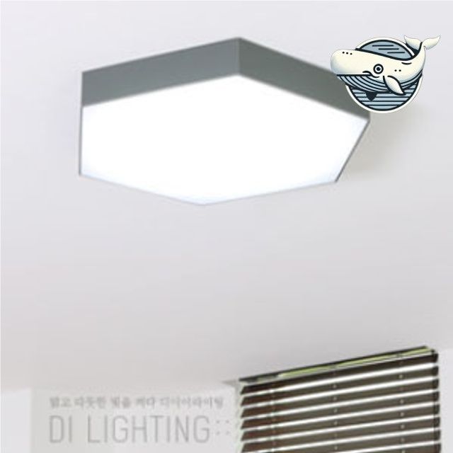 디자인 LED 조명 스타일리시한 방등 거실