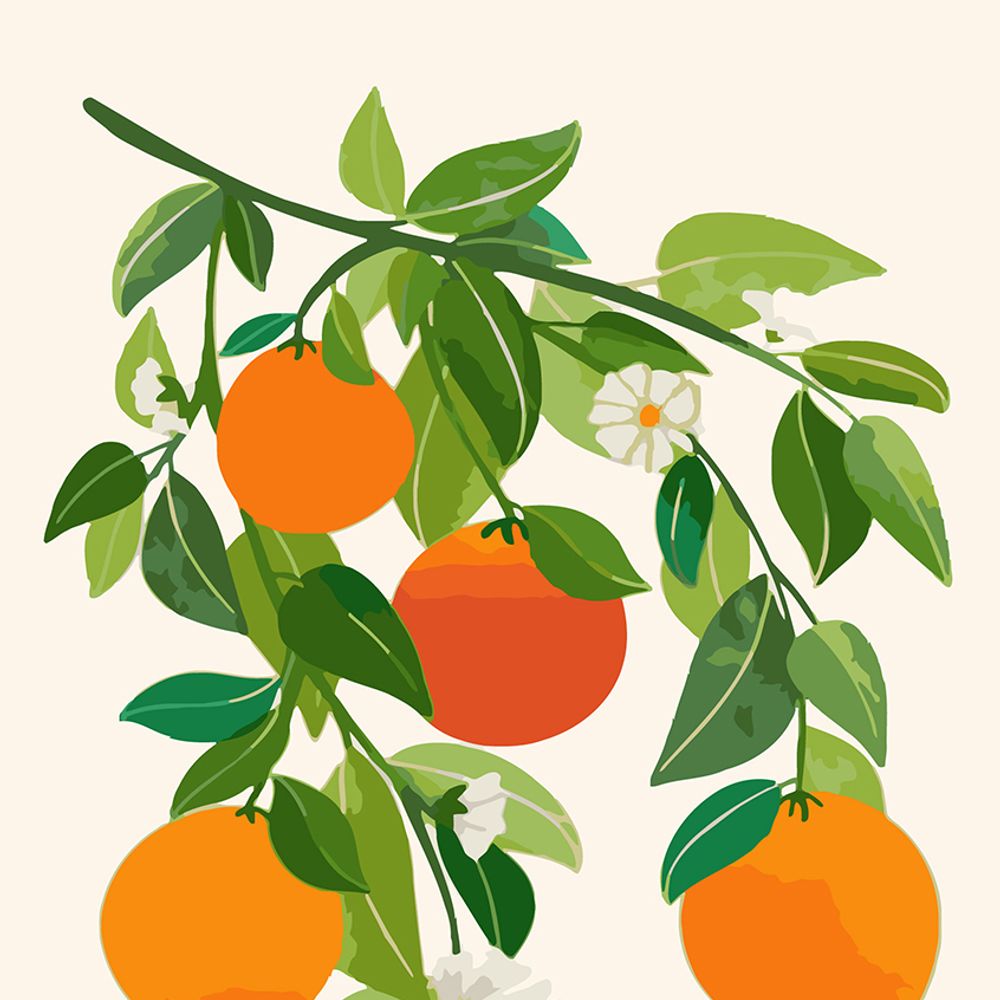 하모니아트 DIY 유화그리기 세트 40x50 오렌지 나무