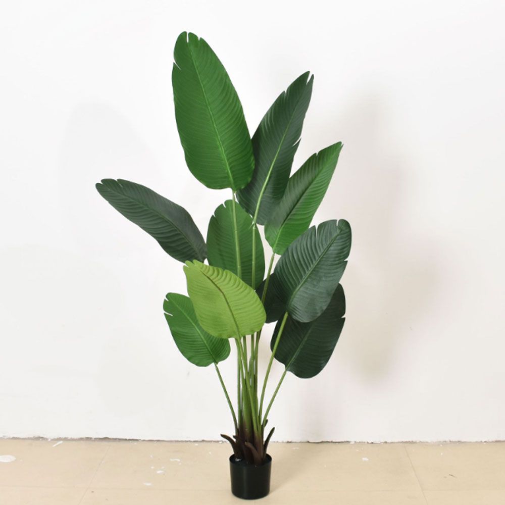 여인초 조화 150cm