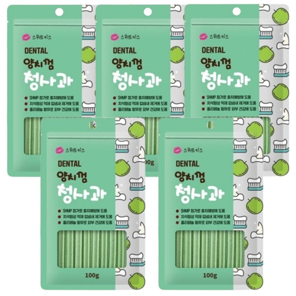 애견 100g 덴탈껌 일상 5P 강아지 치석관리 간식 스낵