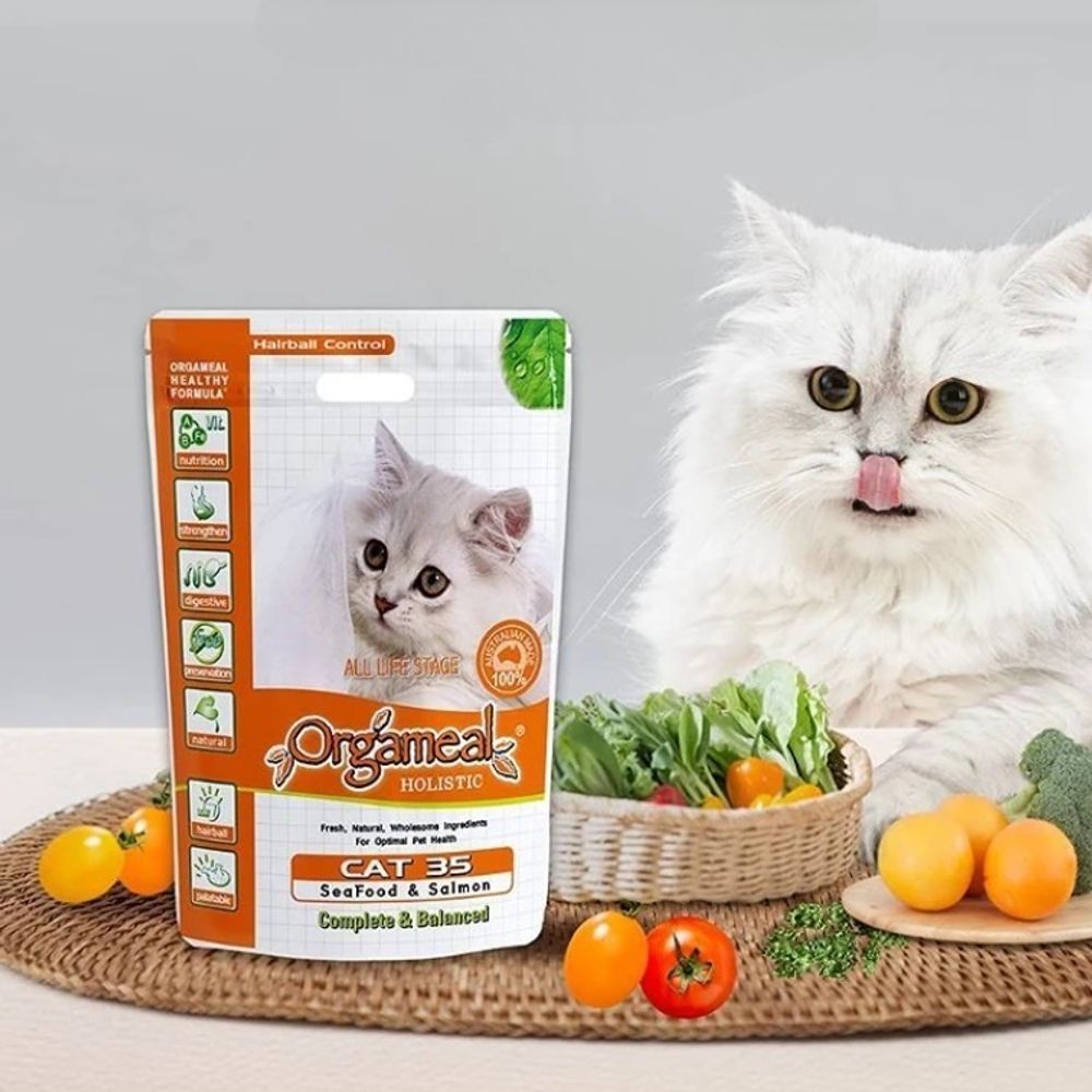 고양이 반려묘 체형유지 피부도움 사료 연어 6.5kg