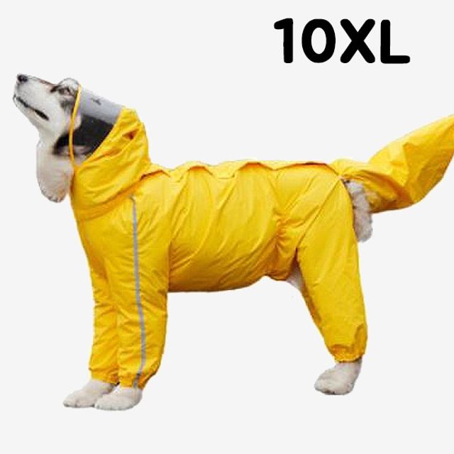 OH 옐로우덕 반려동물 우비 10XL