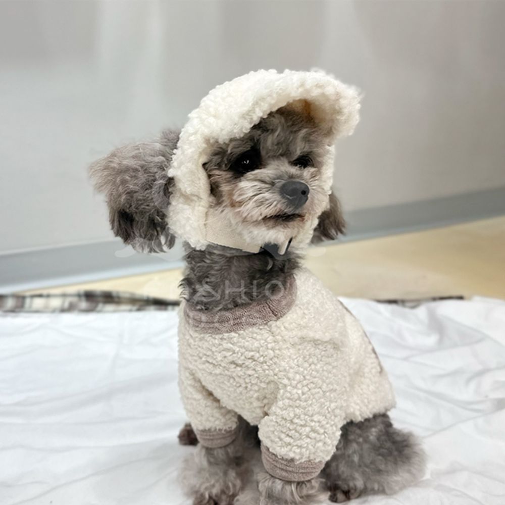 강아지 뽀글이 방울 캡모자 1P 반려견 겨울 보온캡