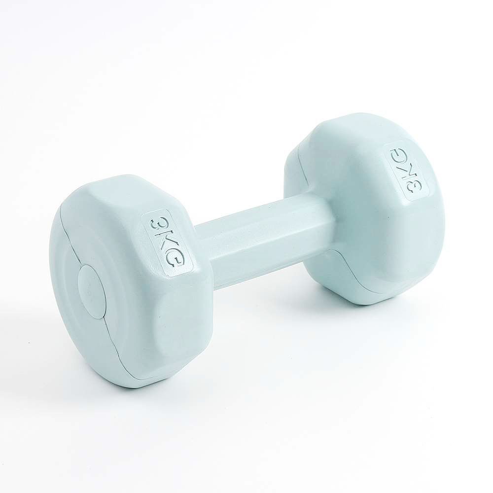 육각 아령 2개 3kg 블루 덤벨 크로스핏 스포츠