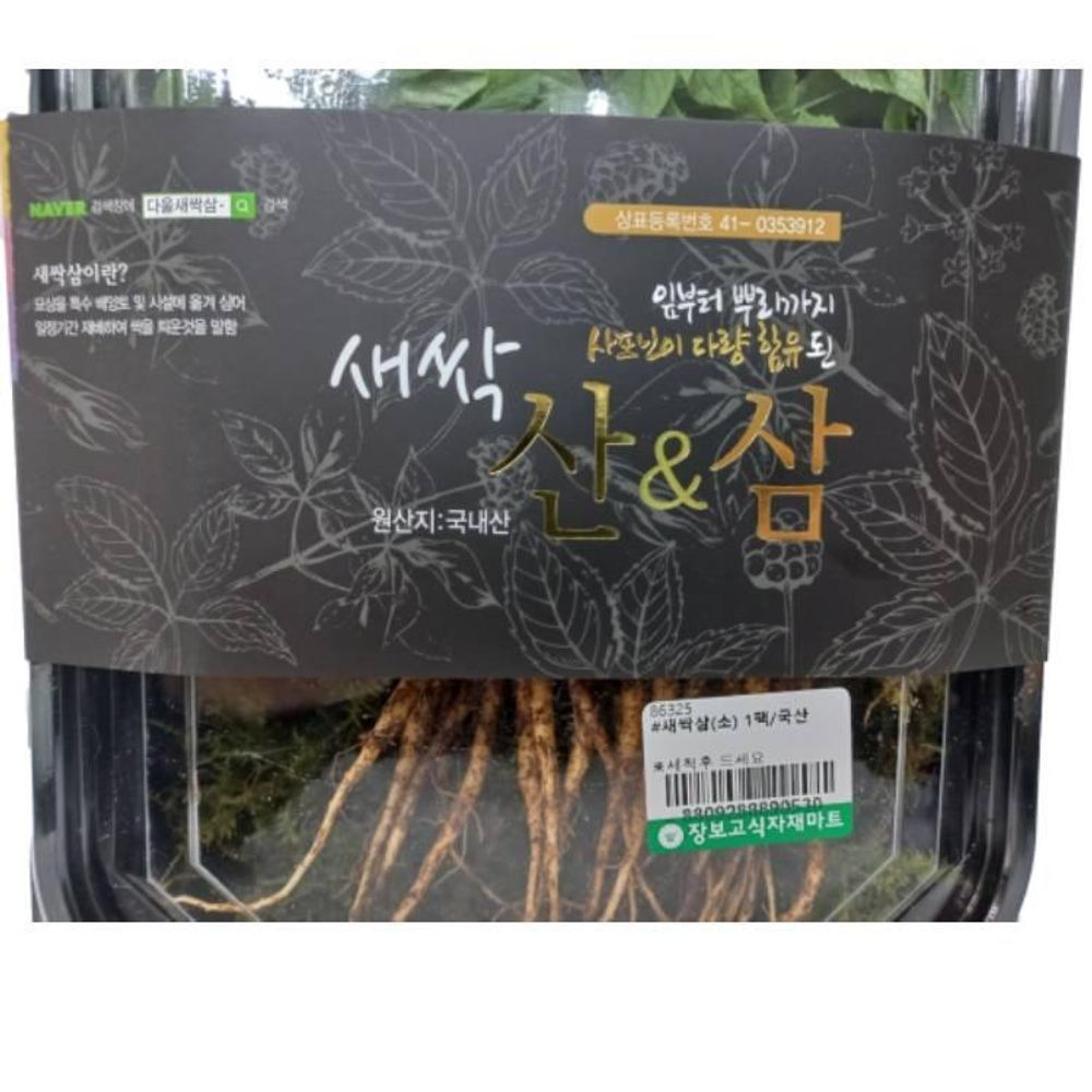 새싹삼(소) 1팩