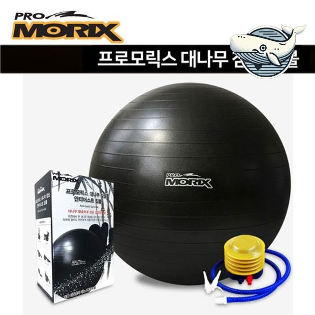 대나무 탄소 짐볼 체중관리 55cm 운동용