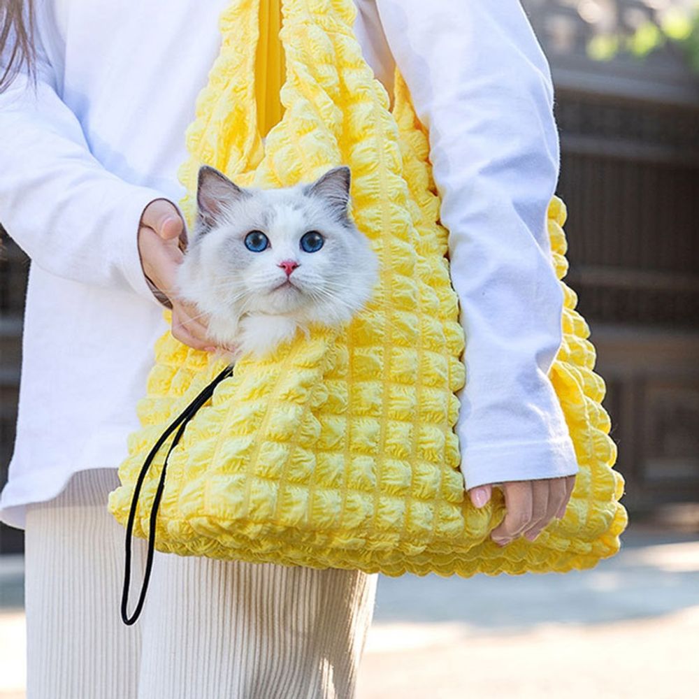 이시아르 반려동물 고양이 강아지 이동가방