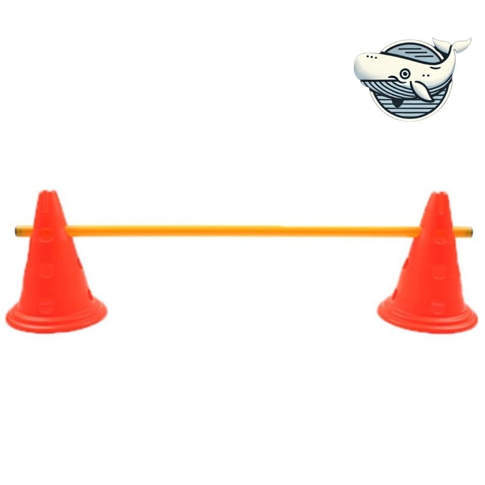 다용도 스포츠 허들바 30cm 체육 교육
