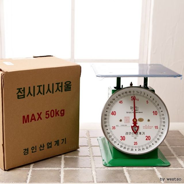 지시 50kg 저울