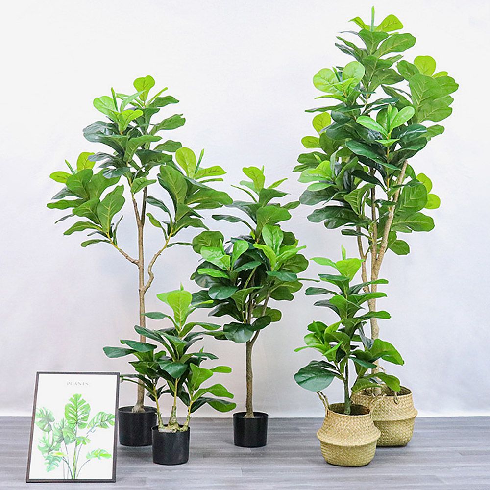 150cm 떡갈잎 조화 고무나무
