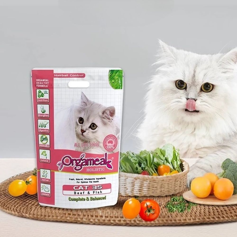 고양이 반려묘 체형유지 피부도움 사료 소고기 6.5kg