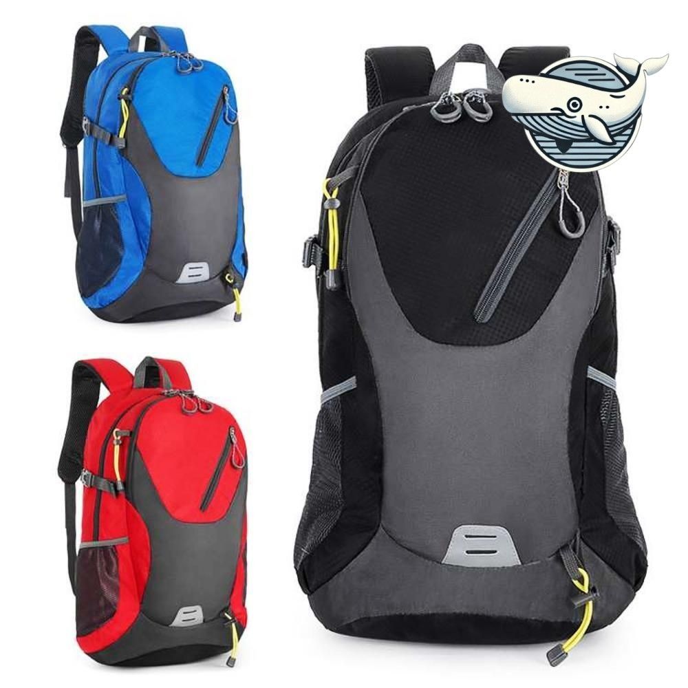 다용도 40L 산행 배낭 색상 다양 아웃도어