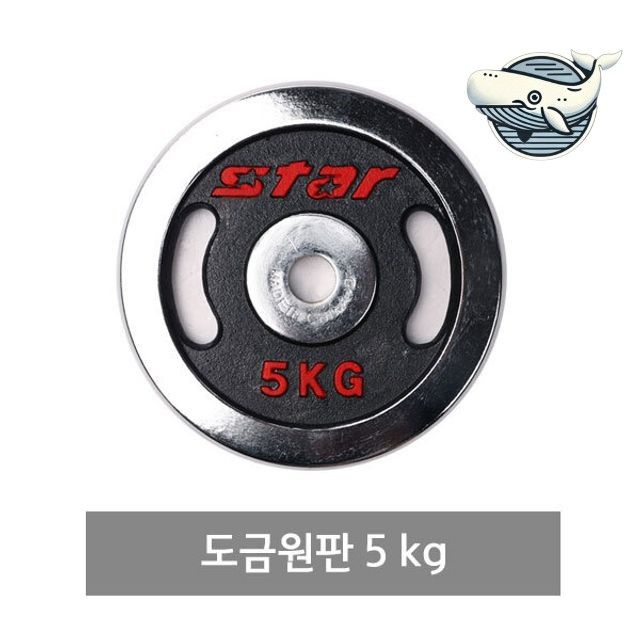 운동용 도금 원판 5kg 피트니스 근력 강화