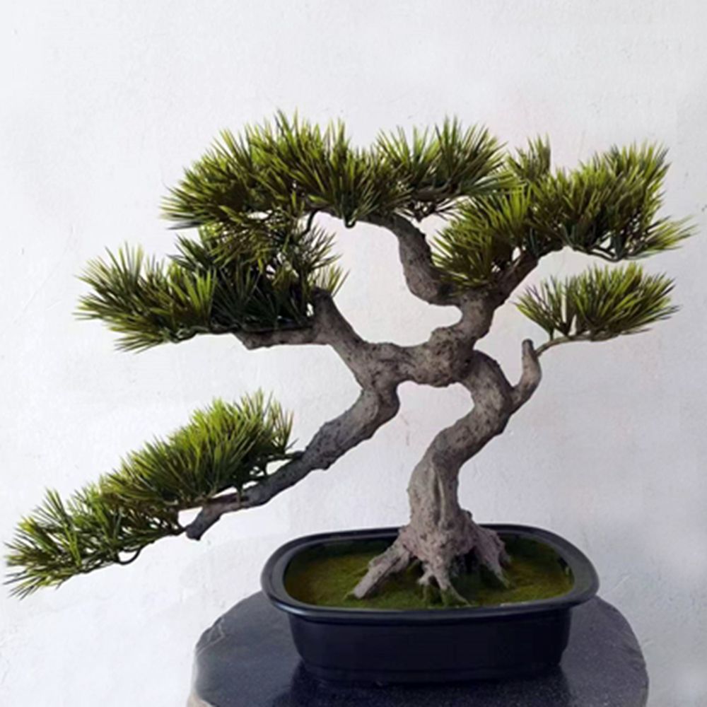40cm 조화나무 흑송 6P