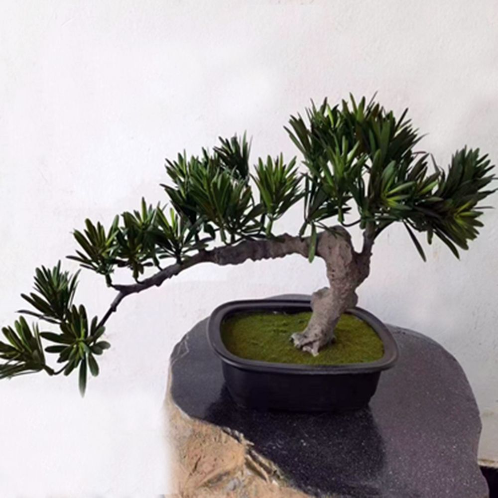 8P 28cm 나한송 조화나무