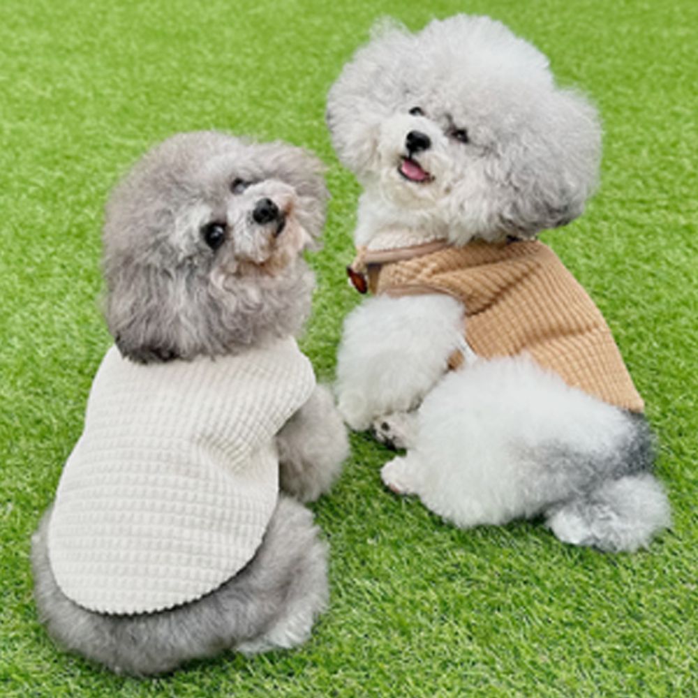 강아지 와플 골덴 자켓 1P 반려견 겨울 산책고리 점퍼